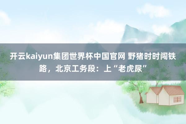 开云kaiyun集团世界杯中国官网 野猪时时闯铁路,北京工务段:上“老虎尿”