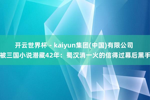 开云世界杯 - kaiyun集团(中国)有限公司 被三国小说潜藏42年:蜀汉消一火的信得过幕后黑手