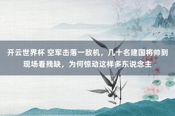 开云世界杯 空军击落一敌机,几十名建国将帅到现场看残缺,为何惊动这样多东说念主