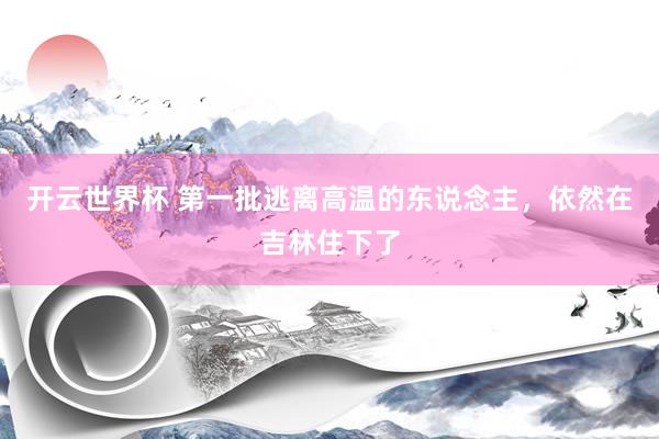 开云世界杯 第一批逃离高温的东说念主,依然在吉林住下了