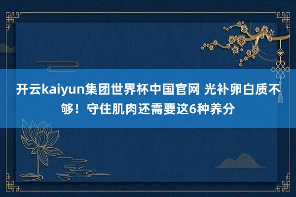 开云kaiyun集团世界杯中国官网 光补卵白质不够!守住肌肉还需要这6种养分