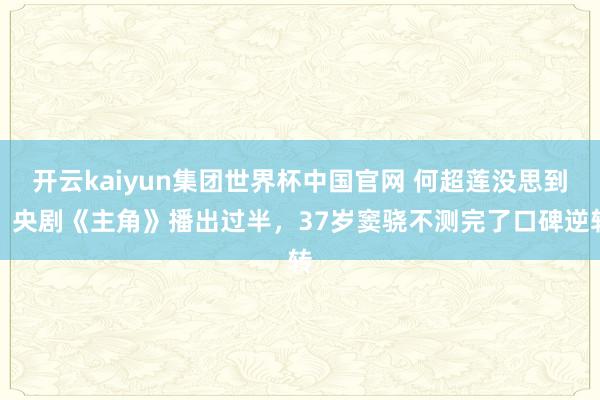 开云kaiyun集团世界杯中国官网 何超莲没思到,央剧《主角》播出过半,37岁窦骁不测完了口碑逆转