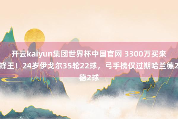 开云kaiyun集团世界杯中国官网 3300万买来新蜂王!24岁伊戈尔35轮22球,弓手榜仅过期哈兰德2球