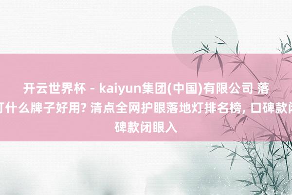 开云世界杯 - kaiyun集团(中国)有限公司 落地台灯什么牌子好用? 清点全网护眼落地灯排名榜, 口碑款闭眼入