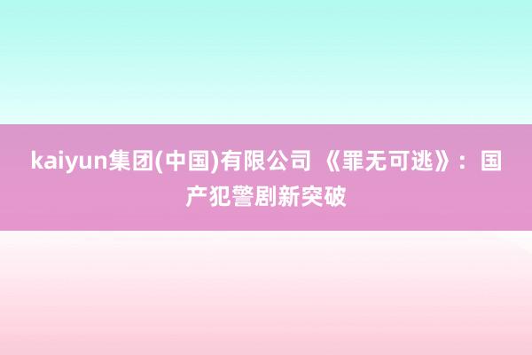 kaiyun集团(中国)有限公司 《罪无可逃》:国产犯警剧新突破