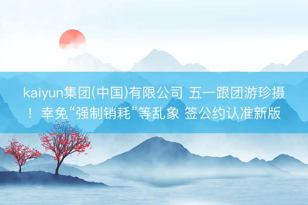 kaiyun集团(中国)有限公司 五一跟团游珍摄!幸免“强制销耗”等乱象 签公约认准新版