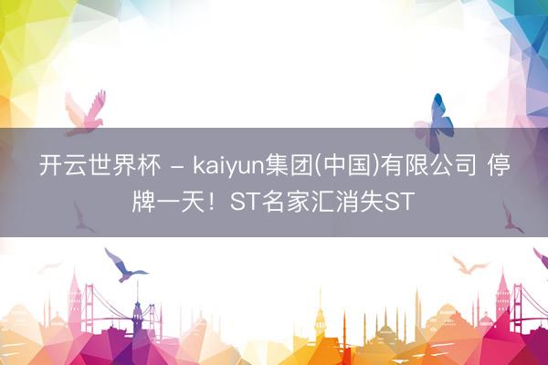 开云世界杯 - kaiyun集团(中国)有限公司 停牌一天!ST名家汇消失ST