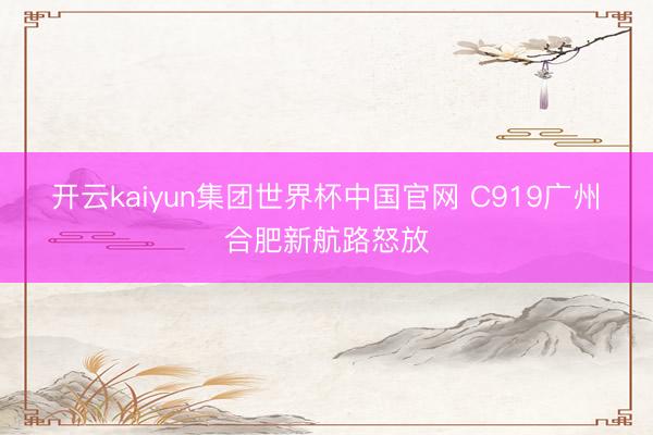 开云kaiyun集团世界杯中国官网 C919广州⇌合肥新航路怒放
